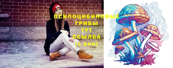 ECSTASY Богородск