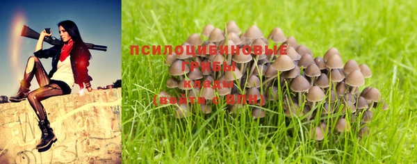 амфетамин Богородицк