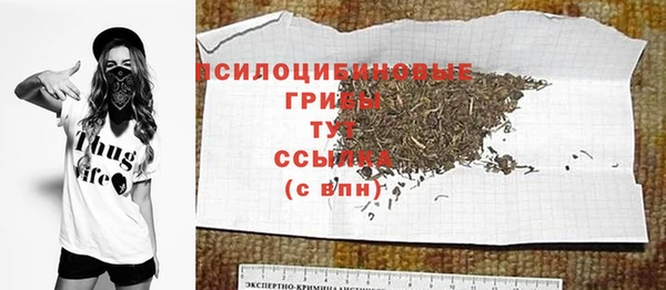 ECSTASY Богородск