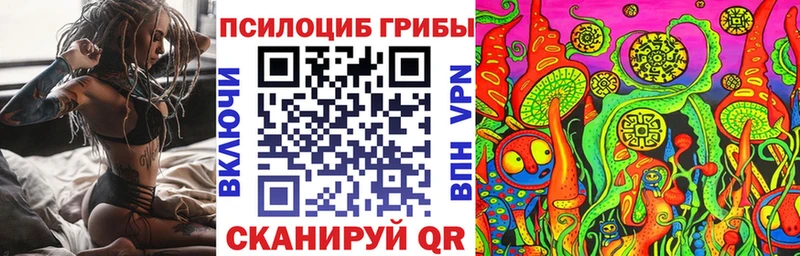 ОМГ ОМГ ONION  Сусуман  shop официальный сайт  Псилоцибиновые грибы Magic Shrooms 